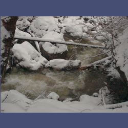 2013-02-02_Rappinschlucht_Lainlalm (027).jpg